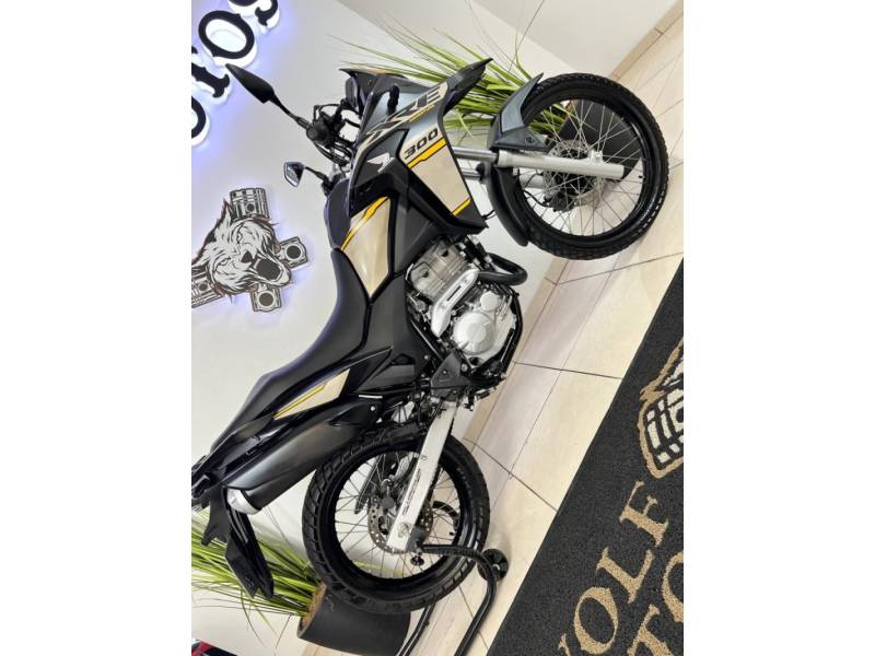 HONDA - XRE 300 - 2022/2022 - Cinza - R$ 30.900,00