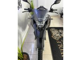 HONDA - XRE 300 - 2021/2022 - Cinza - R$ 30.900,00