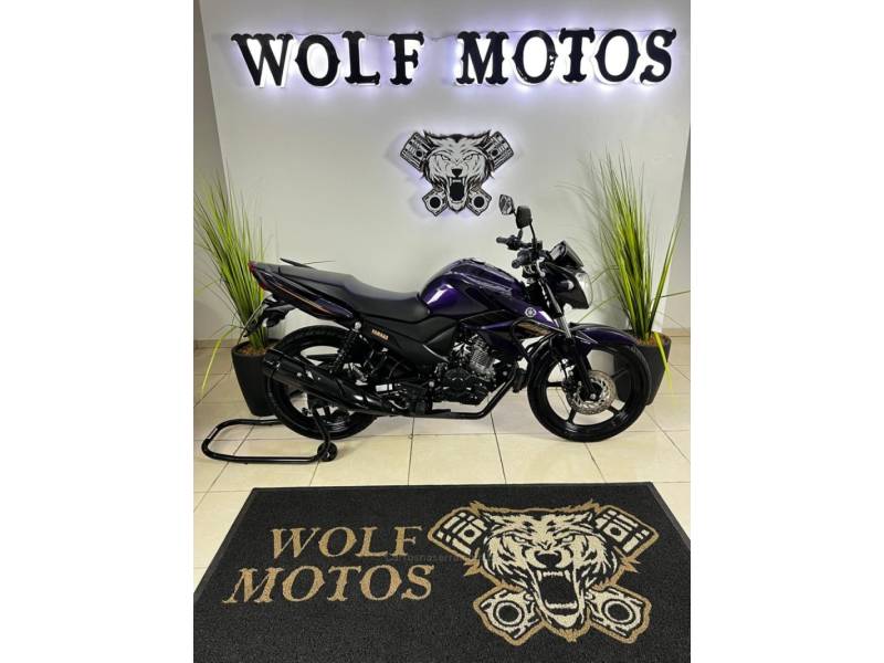 YAMAHA - FAZER - 2024/2024 - Roxa - R$ 18.900,00