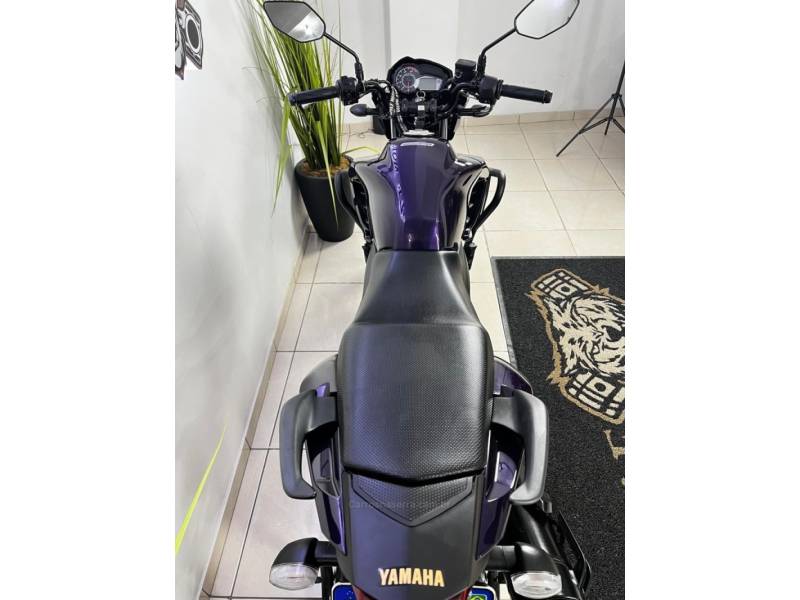YAMAHA - FAZER - 2024/2024 - Roxa - R$ 18.900,00